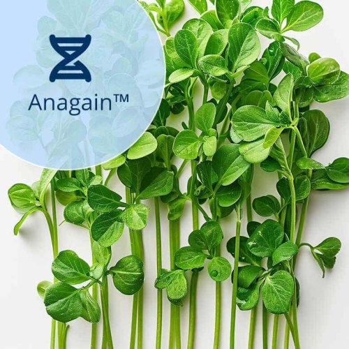 anagain-collage-erbsenesprossen-min