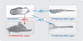studie-aufnahme-1_2x_4fea8162-222b-46a7-a421-b9a0ca2cdfa7-ezgif.com-avif-to-png-converter