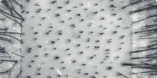 studien-ergebisse-1_2x_02a94f74-49e6-4225-b86e-8a05e84e6b51